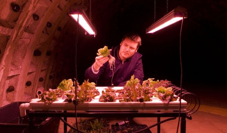 Growing Underground has transformed a series of abandoned subway tunnels into growing chambers for greens and salad leaves.