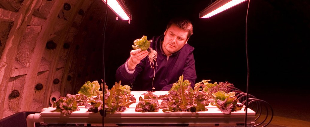 Growing Underground has transformed a series of abandoned subway tunnels into growing chambers for greens and salad leaves.