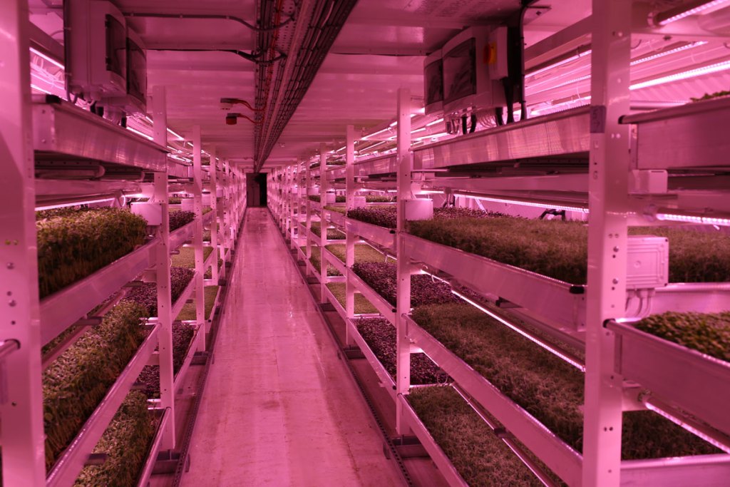 Growing Underground has transformed a series of abandoned subway tunnels into growing chambers for greens and salad leaves.