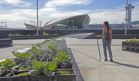 JetBlue JFK T5 Farm Rooftop urban farming